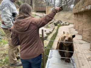 Dobrou noc a uvidíme se na jaře. Slavní medvědi z večerníčků ulehli k zimnímu spánku