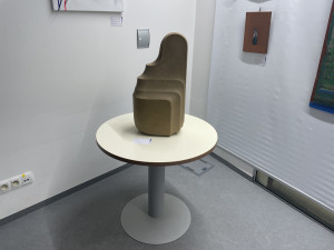 Benefiční aukce umění vynesla pro Hospic sv. Lazara přes půl milionu korun, peníze investuje do projektu nového a důstojného domova