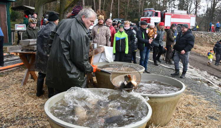 Město začalo s prodejem vánočních stromků, naváže na něj s nabídkou ryb