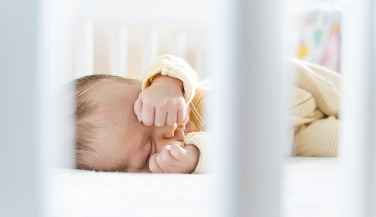 Plzeňský kraj je na rušení kojeneckých ústavů připraven, chybí mu ale pěstouni