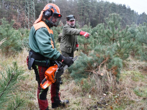 Město začalo s prodejem vánočních stromků, naváže na něj s nabídkou ryb