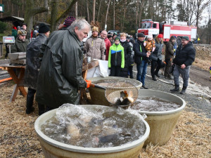 Město začalo s prodejem vánočních stromků, naváže na něj s nabídkou ryb