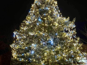 Plzeň 1 - Lochotín