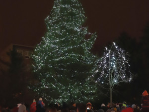 Plzeň 2 - Slovany, Václav Cinádr