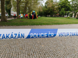 Za vraždu partnerky půjde bezdomovec na 10 let do vězení, ženu zabil za bílého dne přímo v centru města