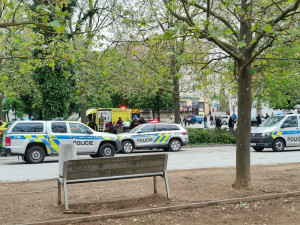 Za vraždu partnerky půjde bezdomovec na 10 let do vězení, ženu zabil za bílého dne přímo v centru města