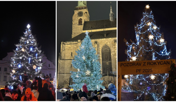 ANKETA: Které město v Plzeňském kraji má letos nejkrásnější vánoční strom?