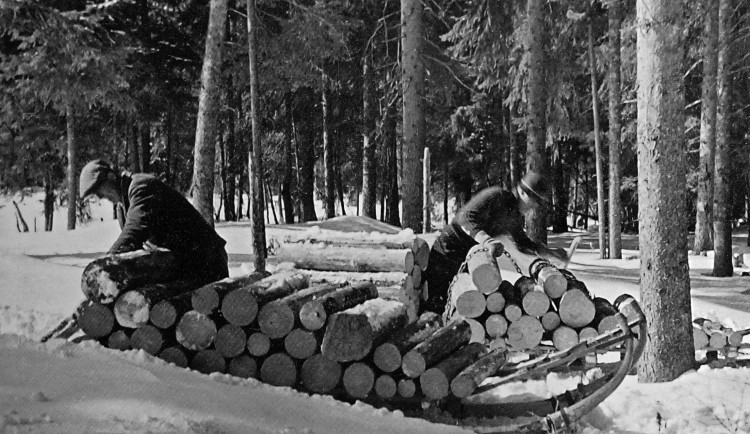 Mezi lesní řemeslníky na staré Šumavě patřili také uhlíři, popeláři, smolaři a kolomazníci. Obstarávali suroviny potřebné pro další řemesla