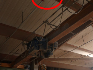 Krahujec vletěl při pronásledování kořisti do obří haly plné velkých strojů. Vysvobodili ho experti při noční akci