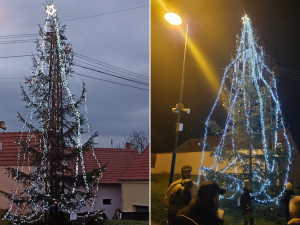 Klasiku převálcoval outsider. Anketa o nejkrásnější vánoční strom obvodu má překvapivého vítěze