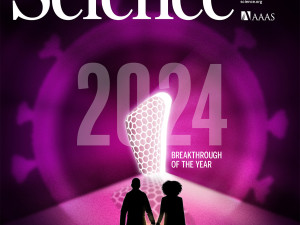 Obálka časopisu Science, Svazek 386, Číslo 6727, 13. prosince 2024.