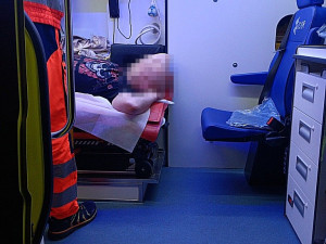 Případ u ulice Pallova