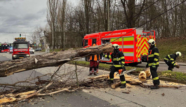 Silný vítr na jihu Čech komplikuje dopravu, hasiči odklízeli 12 popadaných stromů
