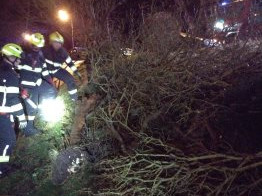 Hasiče na západě Čech potrápil silný vítr, vyjížděli k desítkám událostí