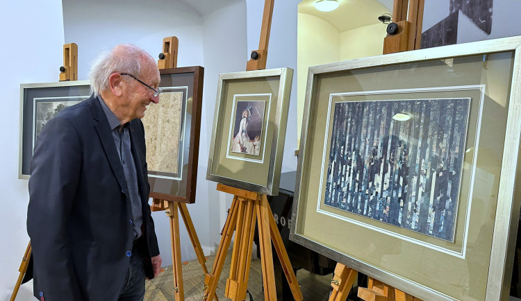 O shromáždění sbírky se zasloužil Zdeněk Valeš, někdejší ředitel Západočeské energetiky (ZČE)