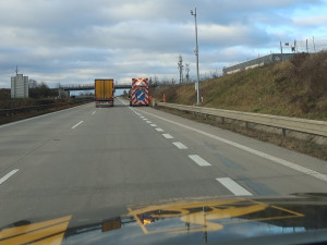 Lišku srazilo na dálnici D5 auto. Těžce zraněnou samici nechtěl opustit její partner a neustále vbíhal do vozovky