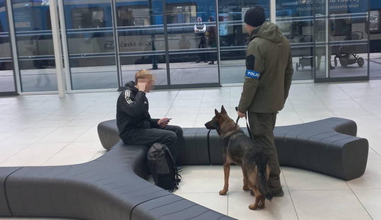 Policejní psi vyrazili do ostré akce na vlakové nádraží. Drogy u sebe mělo pět z osmnácti zkontrolovaných osob