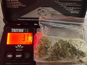 Policejní psi vyrazili do ostré akce na vlakové nádraží. Pět z osmnácti zkontrolovaných osob u sebe mělo drogy