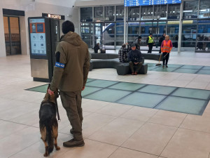 Policejní psi vyrazili do ostré akce na vlakové nádraží. Pět z osmnácti zkontrolovaných osob u sebe mělo drogy