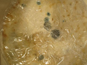 Polská mražená pizza obsahovala porci plísně navíc, prodával ji oblíbený řetězec