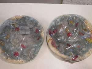 Polská mražená pizza obsahovala porci plísně navíc, prodával ji oblíbený řetězec