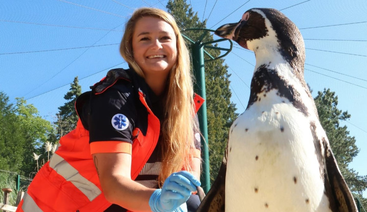 Záchranáři se převtělili do rolí ošetřovatelů v zoo, výsledkem je dobročinný kalendář