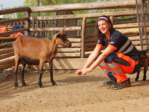 Záchranáři se převtělili do rolí ošetřovatelů v zoo, výsledkem je dobročinný kalendář