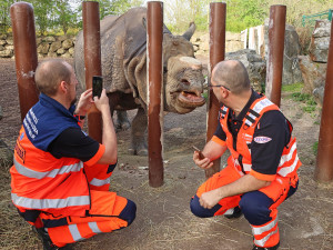 Záchranáři se převtělili do rolí ošetřovatelů v zoo, výsledkem je dobročinný kalendář