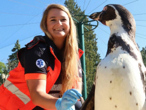 Záchranáři se převtělili do rolí ošetřovatelů v zoo, výsledkem je dobročinný kalendář