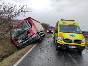 Několik kusů skotu zahynulo při nehodě nákladního automobilu. Jeho řidič za jízdy zkolaboval