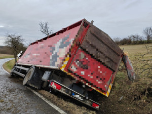 Několik kusů skotu zahynulo při nehodě nákladního automobilu. Jeho řidič za jízdy zkolaboval
