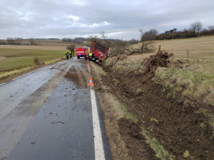 Několik kusů skotu zahynulo při nehodě nákladního automobilu. Jeho řidič za jízdy zkolaboval