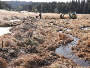 Na Šumavě po sedmi letech skončil unikátní projekt na zadržování vody. Zajistil opětovné zavodnění krajiny