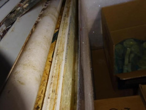 Ve skladu jednoho z nejznámějších plzeňských hotelů našli inspektoři špínu a myší trus