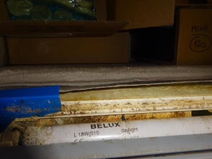 Ve skladu jednoho z nejznámějších plzeňských hotelů našli inspektoři špínu a myší trus