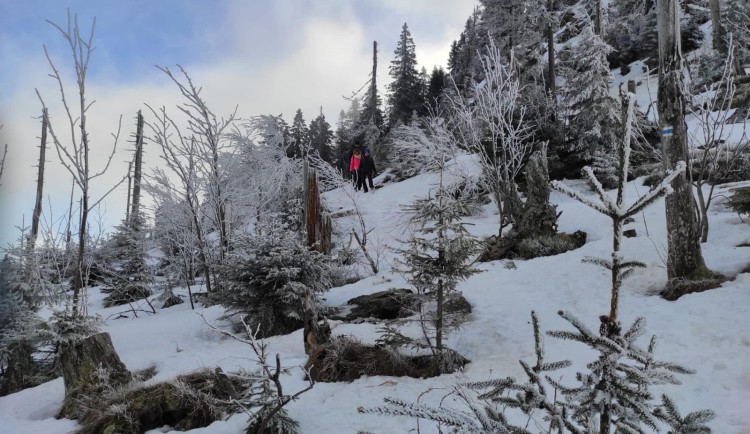 Na Šumavě opět mrzlo, meteorologové naměřili minus 22,7 stupně Celsia