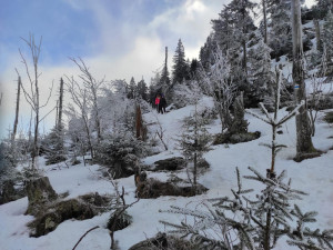 Na Šumavě opět mrzlo, meteorologové naměřili minus 22,7 stupně Celsia