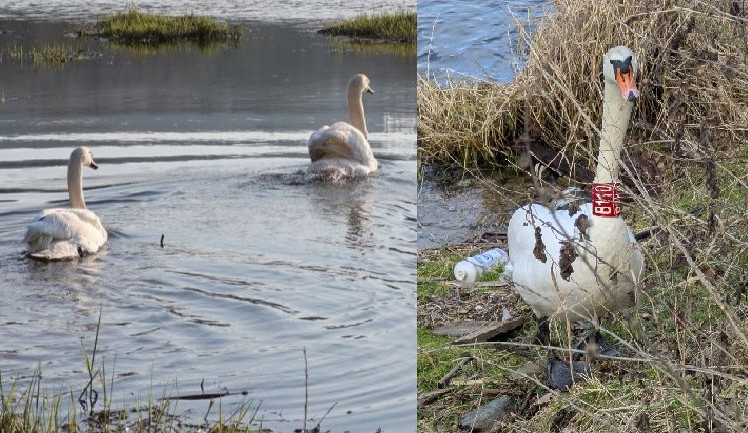 Obávaný Trenér se svojí partnerkou