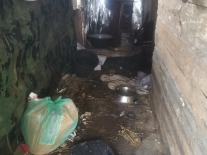 Mrtvá štěňata a fena ve zbídačeném stavu, útulek se snaží dát přeživší pejsky znovu dohromady