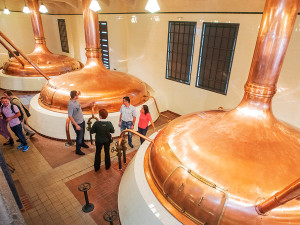 Plzeňský pivovar loni navštívilo téměř 610 tisíc lidí