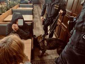 Při obří kontrolní akci zajistili policisté 15 nezletilých pod vlivem alkoholu. Celkem zaznamenali 21 přestupků