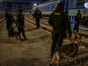 Při obří kontrolní akci zajistili policisté 15 nezletilých pod vlivem alkoholu. Celkem zaznamenali 21 přestupků
