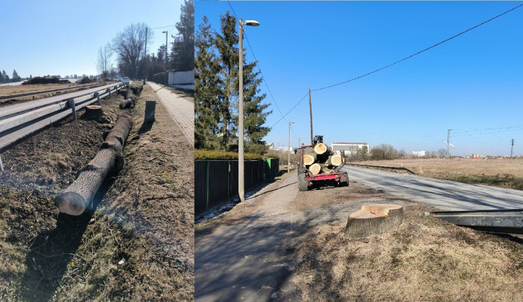 Kácení velkých stromů u Výsluní znepokojilo řadu občanů. Na místě se připravuje přestavba důležité křižovatky