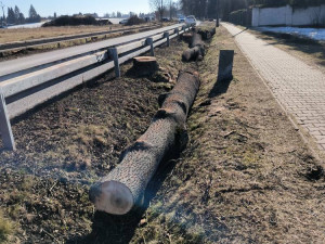 Kácení velkých stromů u Výsluní znepokojilo řadu občanů. Na místě se připravuje přestavba důležité křižovatky
