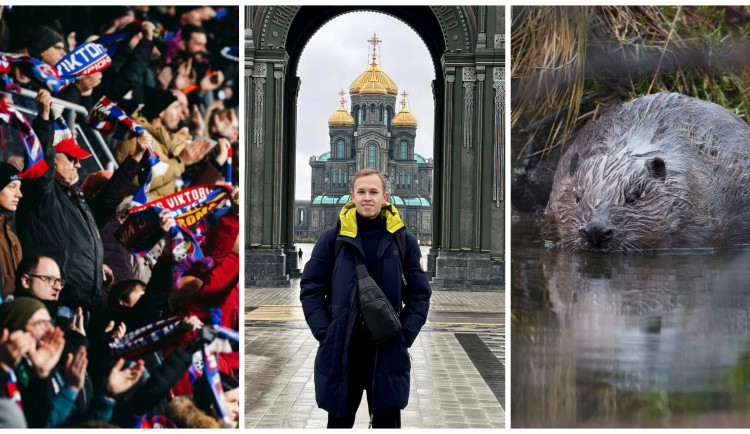 ÚNOR 2025: Song na počet fotbalového fanouška, trafika proruského politika i úspěch českého bobra