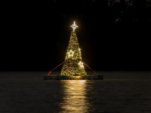 Ještě donedávna stromek zářil.