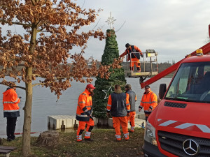 Strom obvod instaluje během listopadu a obvykle ho uklízí po třech králích
