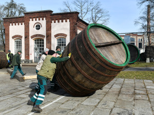 Nebezpečná dřina, zruční bednáři slavného pivovaru začali smolit 20 obřích ležáckých sudů tradiční metodou