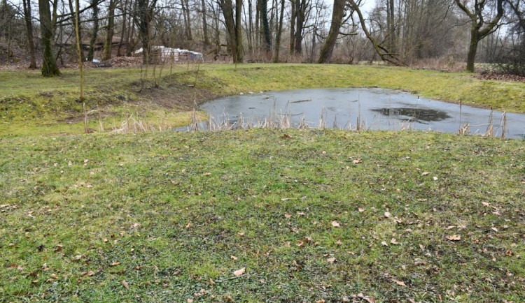 Nejstarší uměle založený park v Plzni čeká třetí etapa revitalizace. Vznikl už v roce 1833