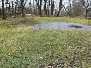 Nejstarší uměle založený park v Plzni čeká třetí etapa revitalizace. Vznikl už v roce 1833